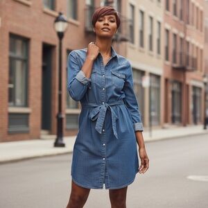 Wrangler Indigo Long Sleeve Denim Dress